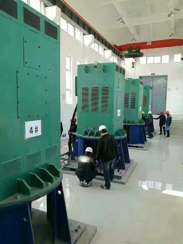凤翔某污水处理厂使用我厂的立式高压电机安装现场