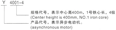 西安泰富西玛Y系列(H355-1000)高压凤翔三相异步电机型号说明